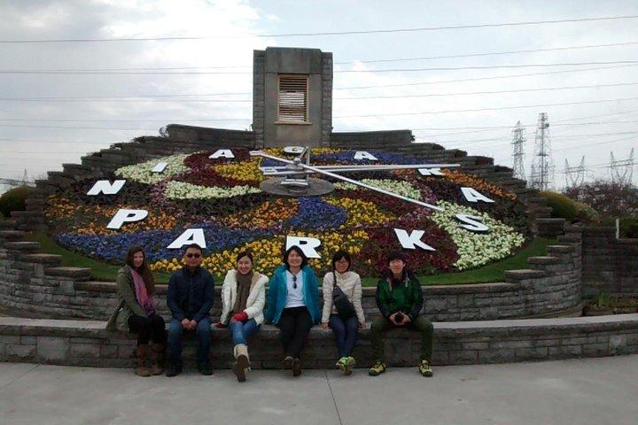Niagara Falls Day Tour fra Toronto