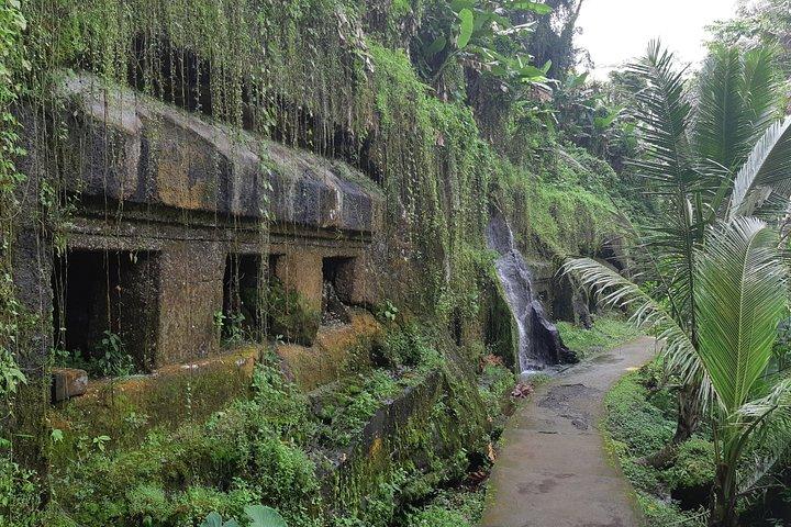 Excursiones a templos antiguos, cascadas y cafetales