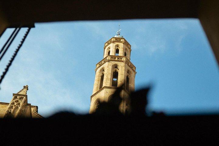 Private City Kickstart Tour: Barcelona