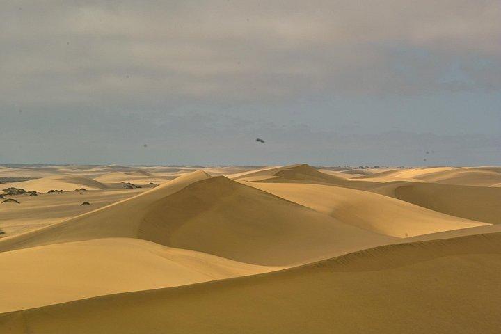 Sandwich Harbour- Guided Self-Drive Tour from Walvis Bay