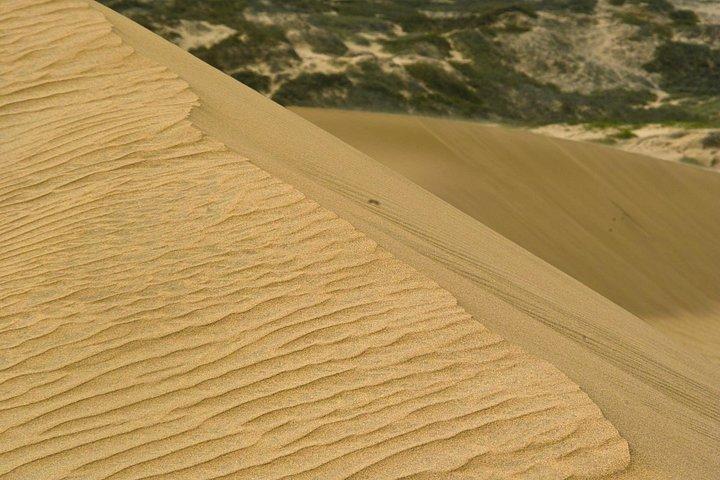 Sandwich Harbour- Guided Self-Drive Tour from Walvis Bay