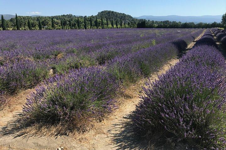 Los pueblos de la colina del Luberon