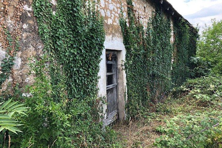 スプリットからのプライベート日帰り旅行は、ドゥブロヴニクで旧村の本格的なランチエンドを訪れます