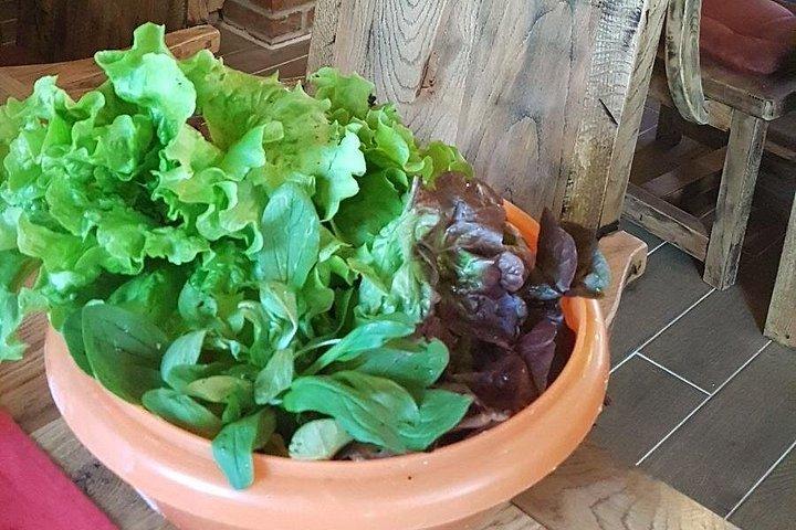 クロアチアとボスニアの本格的家庭ランチ体験