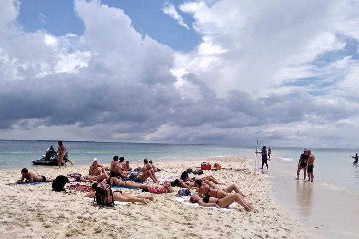 Sandbank Picnic e Dhow Sailing with Seafood Lunch