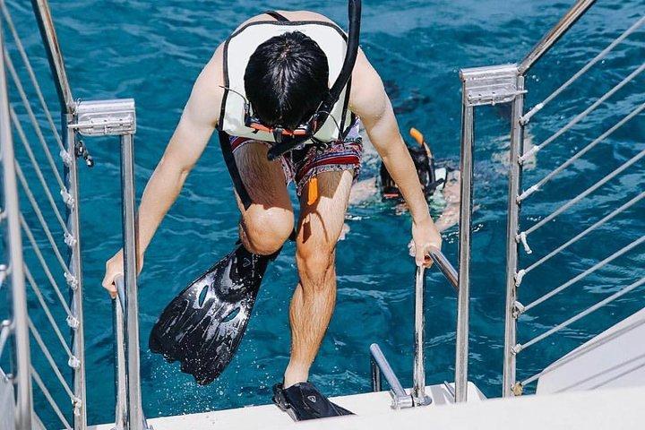 ワイキキ：タートルキャニオン・モーニングシュノーケル＆セイル・フロム・ビーチ｜オアフ島
