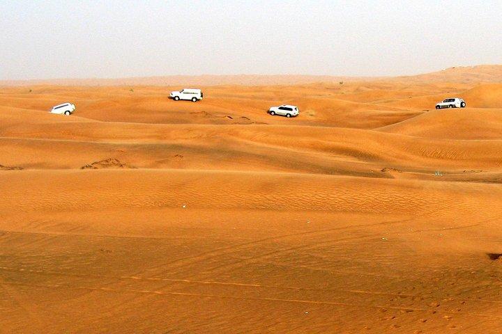 Dubai Morning Safari