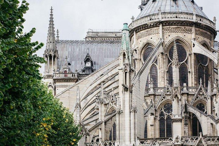 90 minutters Notre Dame udendørs halvprivate tur