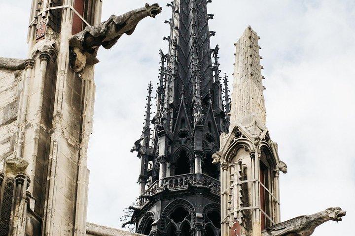 90 minutters Notre Dame udendørs halvprivate tur