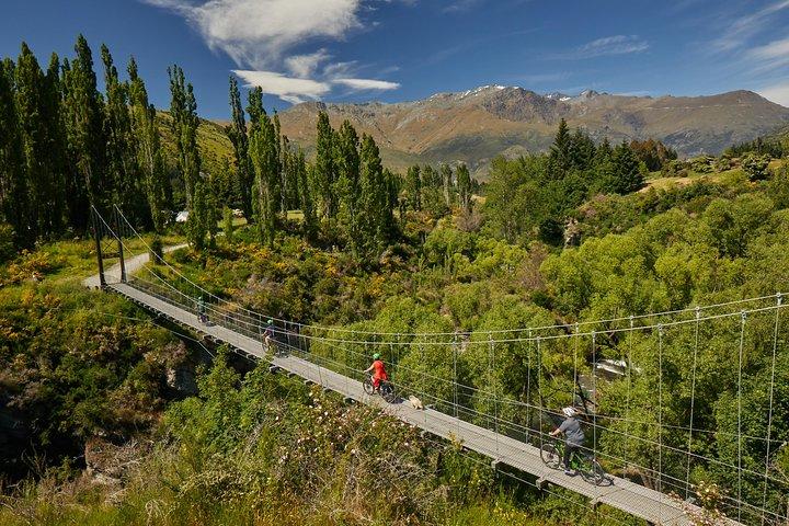 Queenstown Guided E-bike Wine Tour