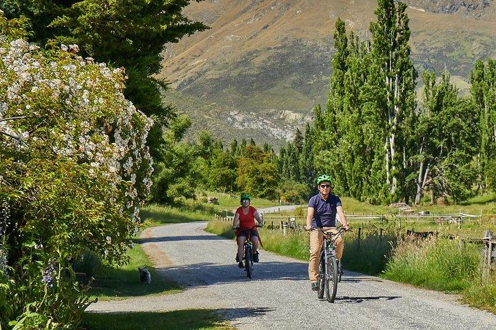 Queenstown Guided E-bike Wine Tour