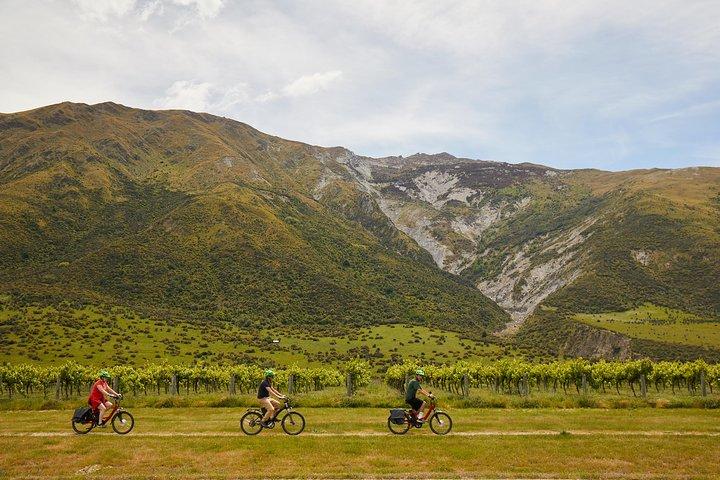 Queenstown Guided E-bike Wine Tour