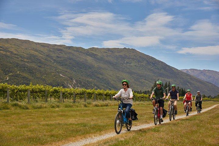 Queenstown Guided E-bike Wine Tour