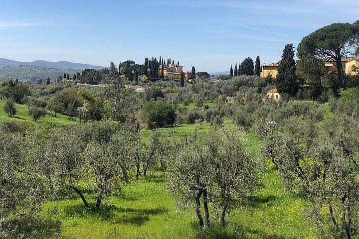 Privat selvguidet E-cykel tur i Toscana med Vineyard besøg