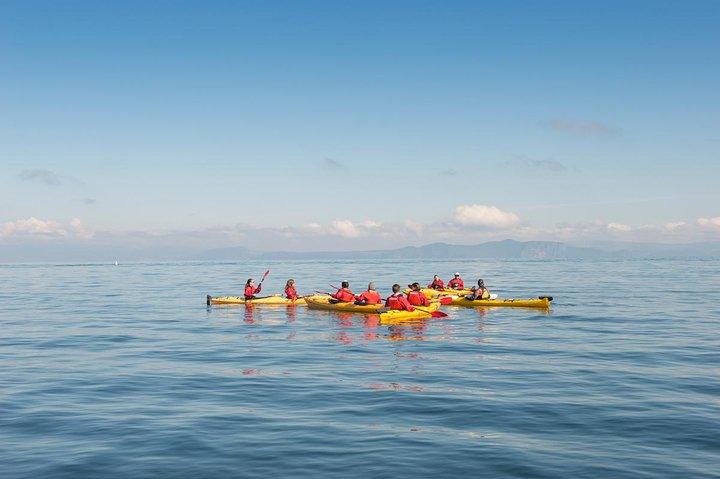 Il kayak di mezza giornata delle sculture Maori