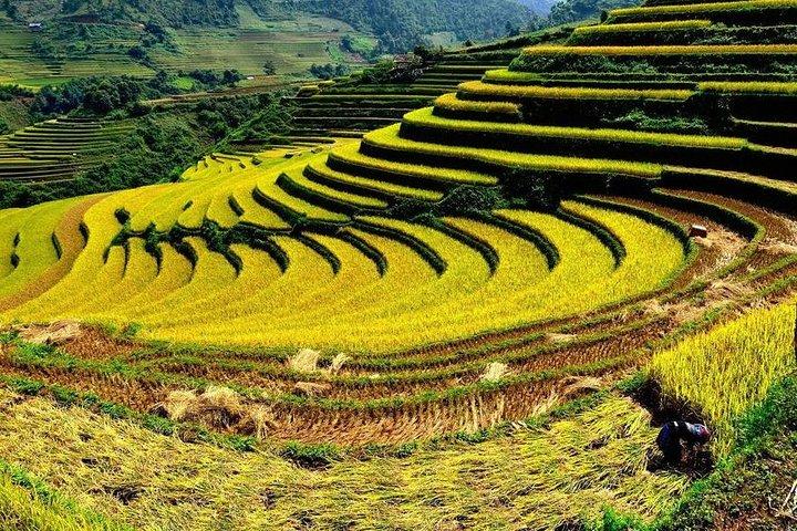 Von Hanoi : 2 - Tagestour mit Luxus-Van Limousine