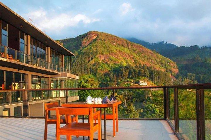 Explore Nuwara Eliya | Experience the Best Tea in the World