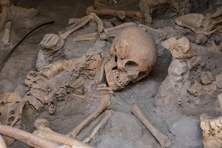 Pompeii, Herculaneum and Winery on Vesuvius with an Archaeologist