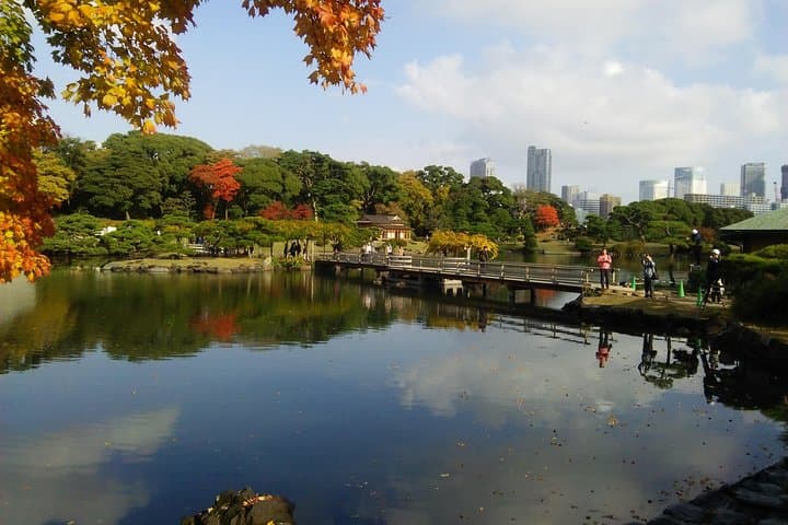 8-hour Tokyo tour by qualified tour guide using public transport