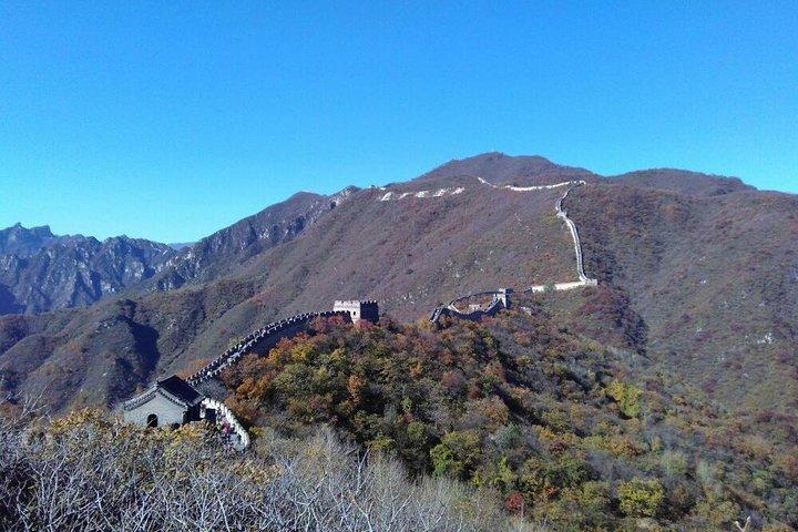 送迎サービスを含む上海のホテルからのプライベート北京一日ツアー