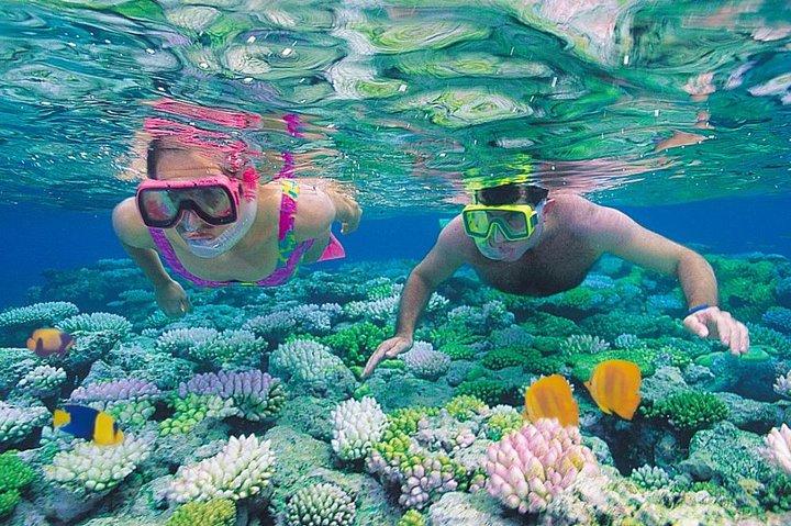 Red Sea Snorkeling from Hurghada