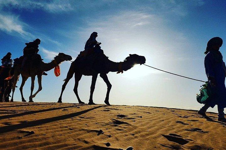 Sahara Activities Package: Quads, Camel Riding, Sandboarding, Camp Overnight