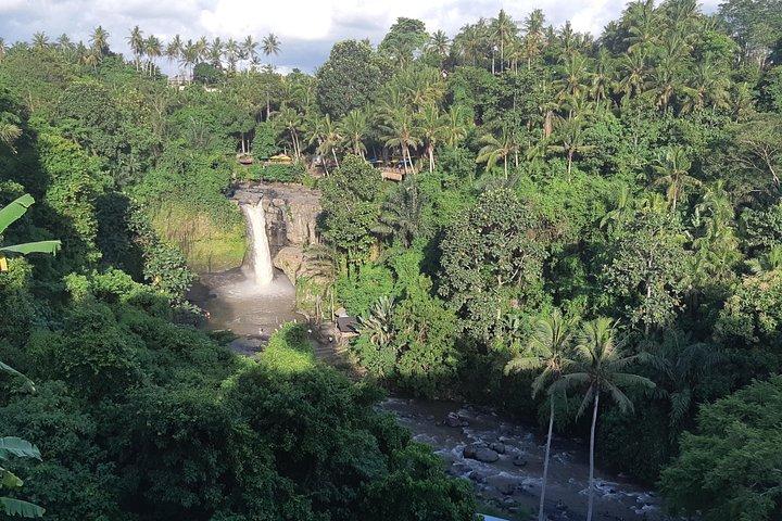 Excursiones a templos antiguos, cascadas y cafetales