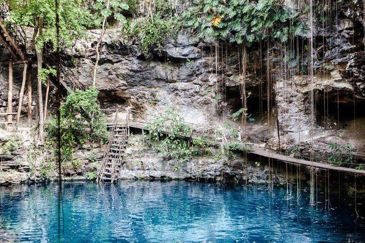 トゥルムとセノーテ カーサ トルトゥーガの日帰り旅行