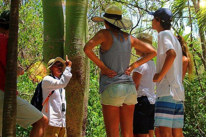 Tulum Mayan Ruins Express