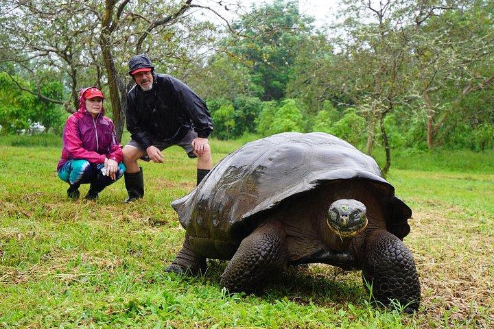 Esenciales de Galápagos de 7 días