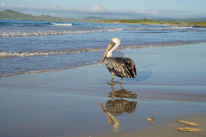 7-Day Galapagos Essentials