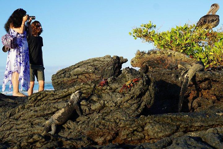 7-Day Galapagos Essentials
