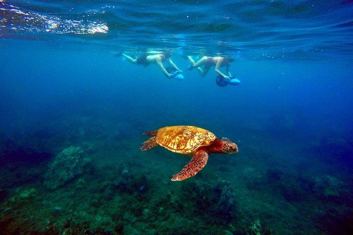 シースクーターシュノーケリングツアー(写真とビデオ付き)ワイレアビーチ