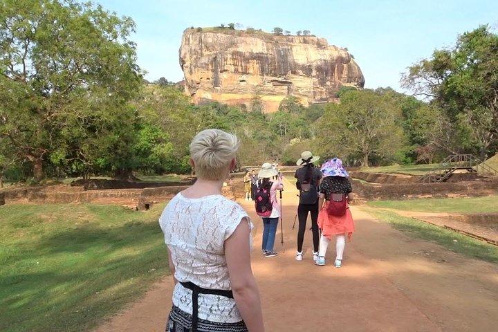 Excursion privée d'une journée guidée à Sigiriya Rock & Dambulla Cave Temple