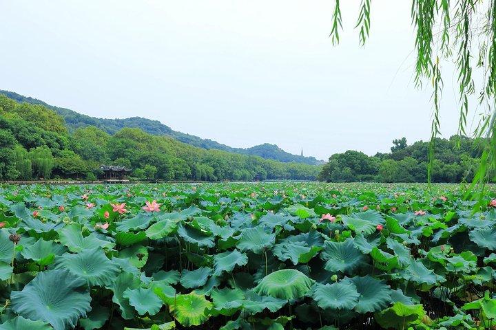 Shanghai to Hangzhou Bullet Train Ticket with Hongqiao Station Transfer