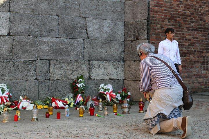 Auschwitz Birkenau : Visita guiada en vivo con transporte y recogida en el hotel