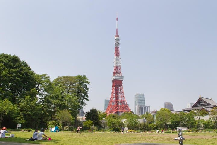 8-hour Tokyo tour by qualified tour guide using public transport