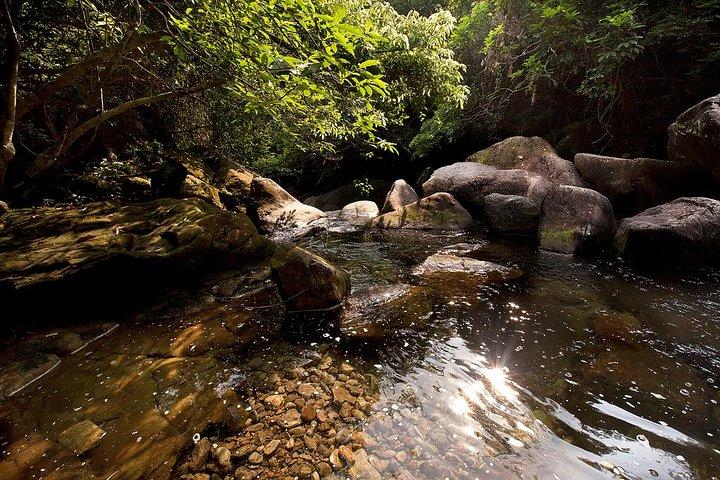 Tai Mo Shan Waterfall Adventure Hike