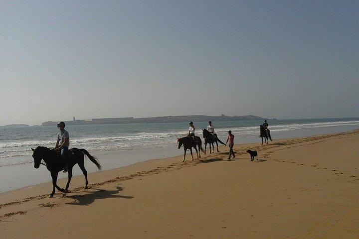 1 timmes ridtur på stranden i essaouira