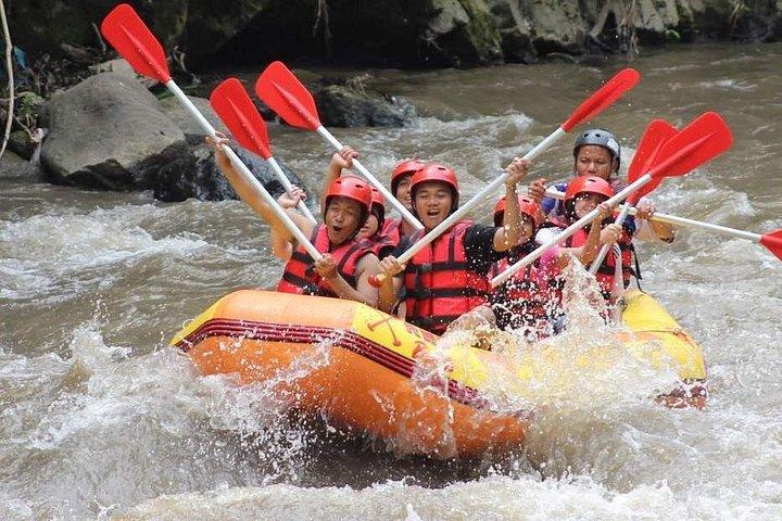 Ayung Fluss - Wildwasser, das Bali flößt