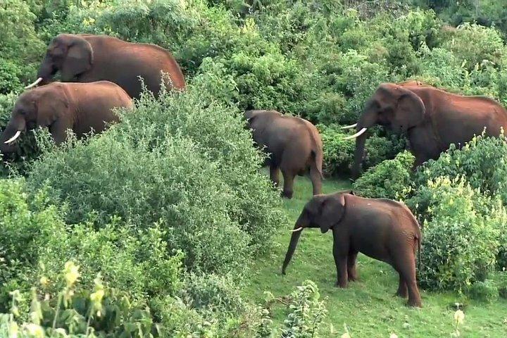 アバーディア国立公園へ一晩