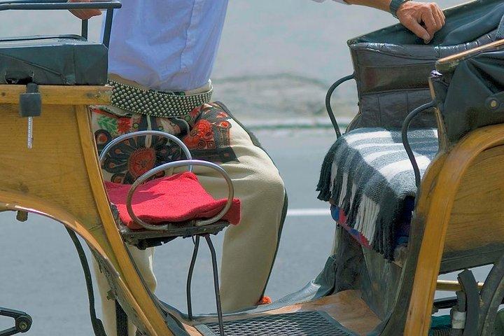 クラコフからのザコパネとタトラ山脈の日帰りツアー