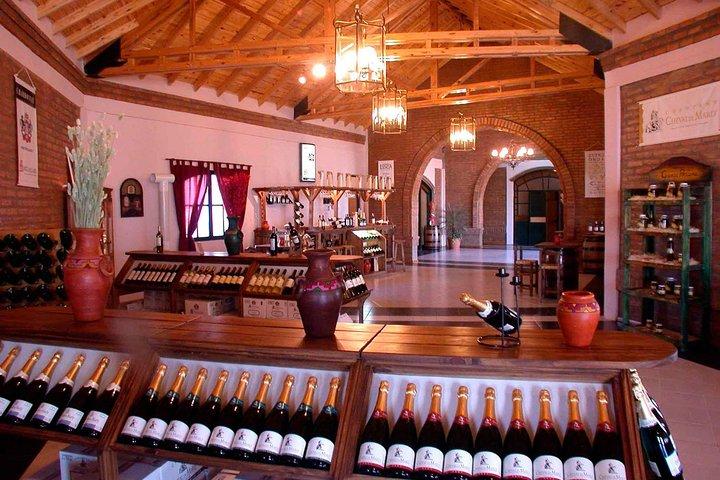Route des vins du Sud