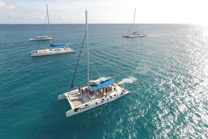 Fra Punta Cana: Saona Island & Altos de Chavon Dagstur med frokost og åben bar