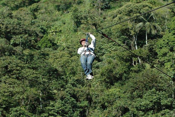 MINDO CLOUD FOREST - Natuur & Vogels - Gepersonaliseerde ervaring