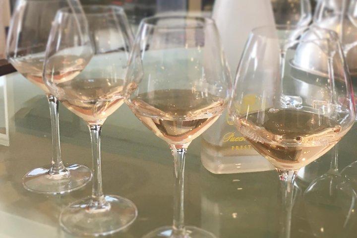 Small-Group Half-Day Châteaux of Montpellier Wine Tour