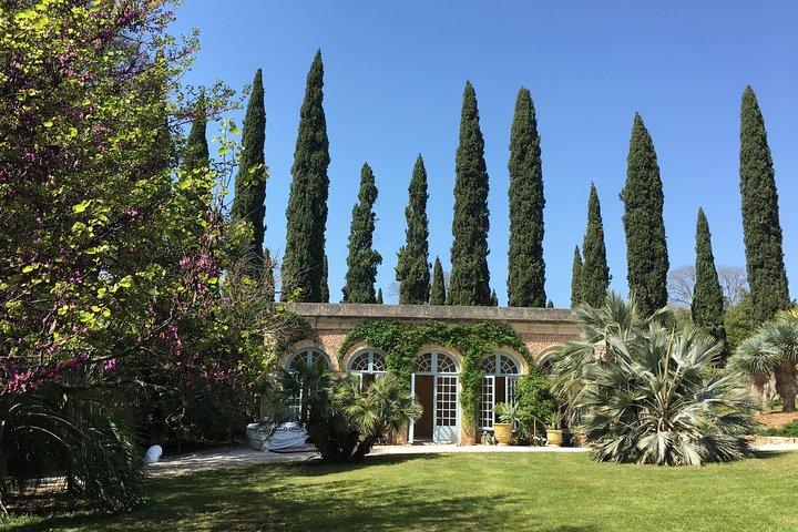 Small-Group Half-Day Châteaux of Montpellier Wine Tour