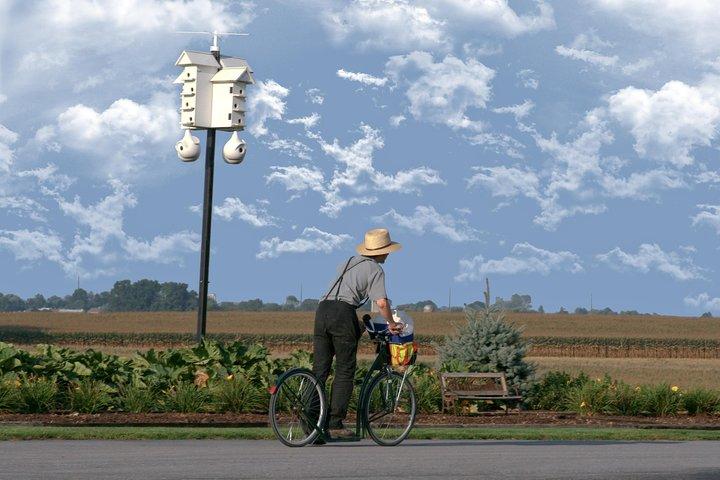 Premium Amish Country Tour including Amish Farm and House