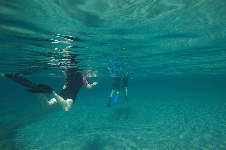 シュノーケリングとスニオのポセイドン神殿への水泳ツアー