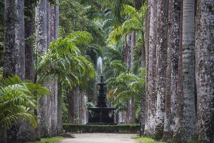 Giardino botanico e foresta pluviale di Tijuca